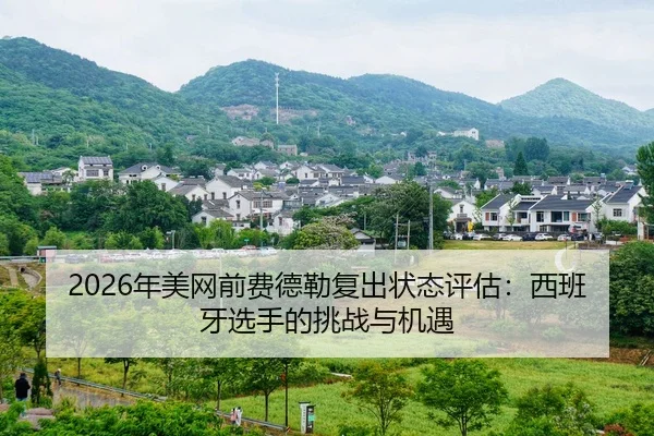 nian-mei-wang-qian-fei-de-lei-fu-chu-zhuang-tai-ping-gu-xi-ban-ya-xuan-shou-de-tiao-zhan-yu-ji-yu-2-915.jpg