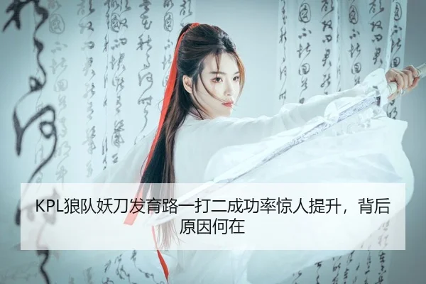 KPL狼队妖刀发育路一打二成功率惊人提升，背后原因何在
