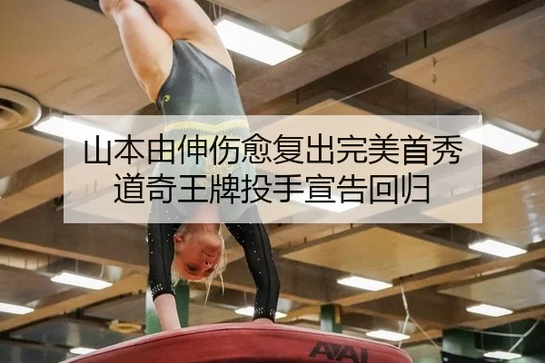 shan-ben-you-shen-shang-yu-fu-chu-wan-mei-shou-xiu-dao-qi-wang-pai-tou-shou-xuan-gao-hui-gui-2-990.jpg