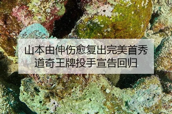 shan-ben-you-shen-shang-yu-fu-chu-wan-mei-shou-xiu-dao-qi-wang-pai-tou-shou-xuan-gao-hui-gui-3-274.jpg